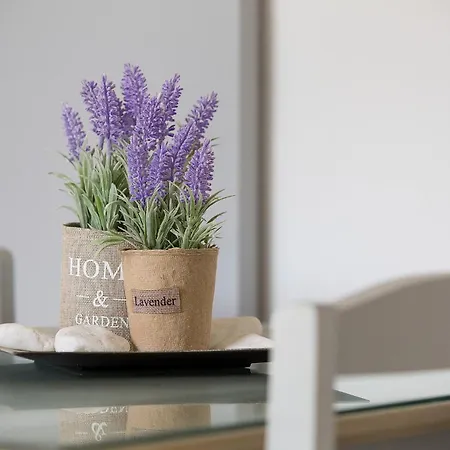 Apartment Elleana Corfu *